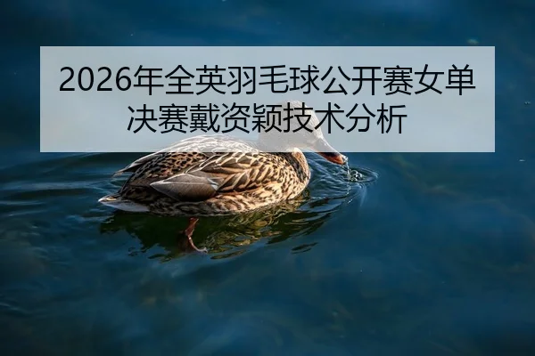 nian-quan-ying-yu-mao-qiu-gong-kai-sai-nv-dan-jue-sai-dai-zi-ying-ji-shu-fen-xi-2-107.jpg