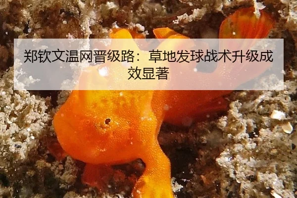 zheng-qin-wen-wen-wang-jin-ji-lu-cao-di-fa-qiu-zhan-shu-sheng-ji-cheng-xiao-xian-zhu-2-913.jpg