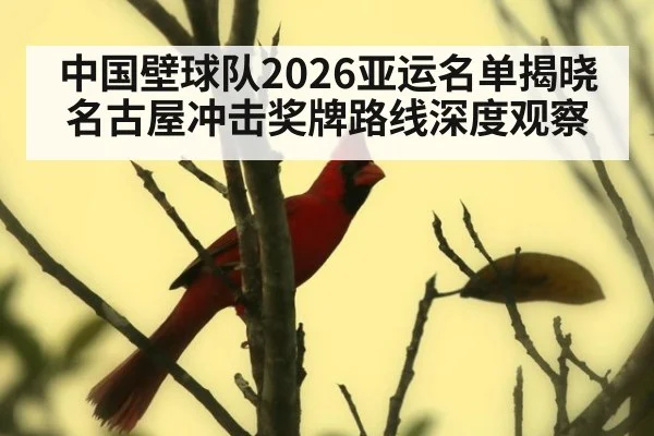 中国壁球队2026亚运名单揭晓 名古屋冲击奖牌路线深度观察